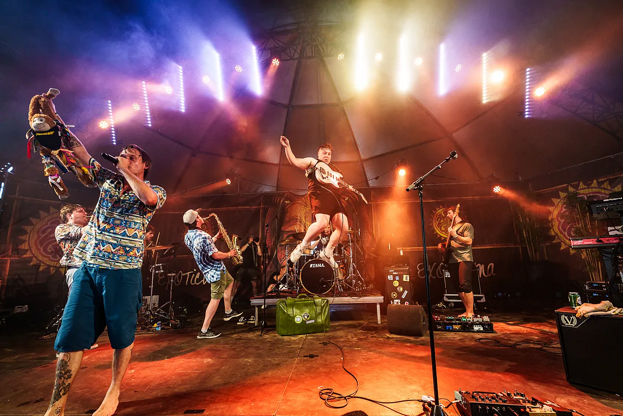 zc-43-primaat-anne-marie-kok