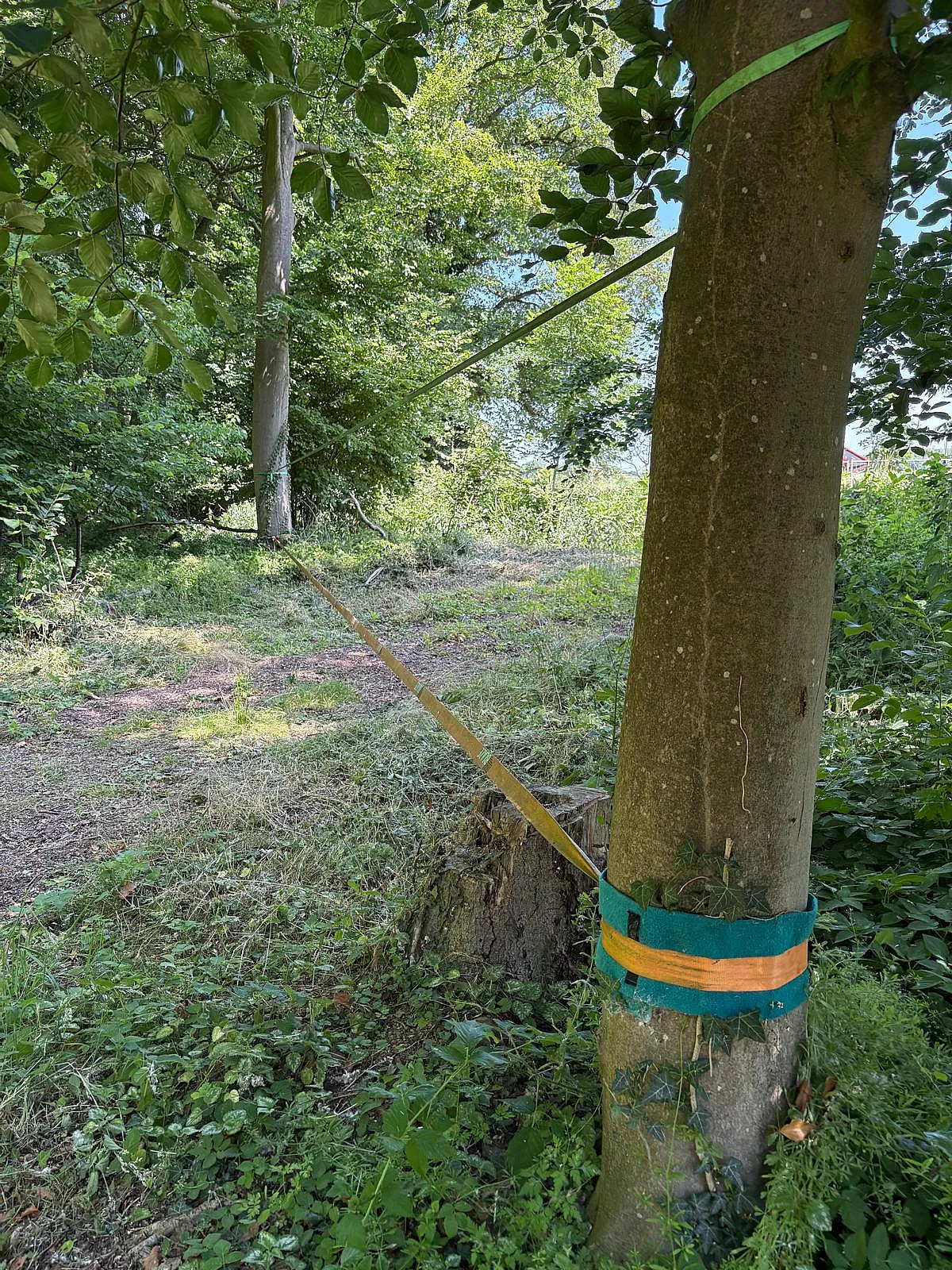 garten-3